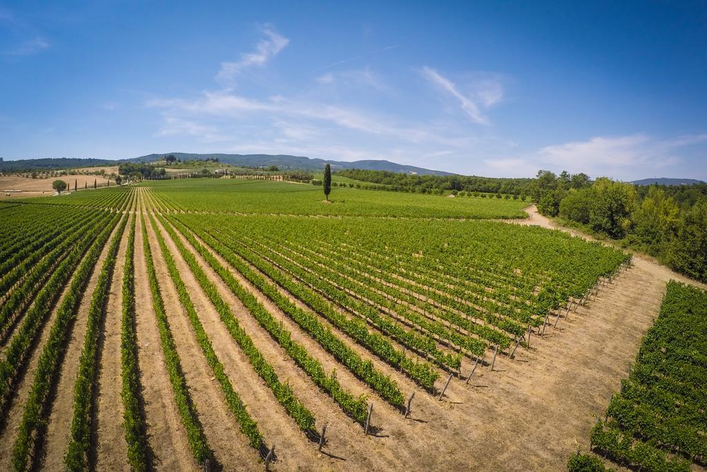 Agriturismo La Sovana Сартеано Екстериор снимка