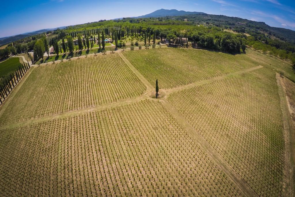 Agriturismo La Sovana Сартеано Екстериор снимка